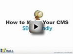 Webinar: How to Make Your CMS SEO Friendly