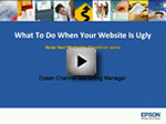 Webinar: What to Do if Your Website is Ugly