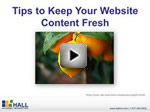 Webinar: Tips to Keep Your Website Content Fresh