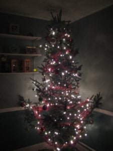 Our Tree