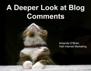 deeper look at blog comments