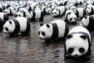 Is PPC a Good Safety Net for Panda Updates?