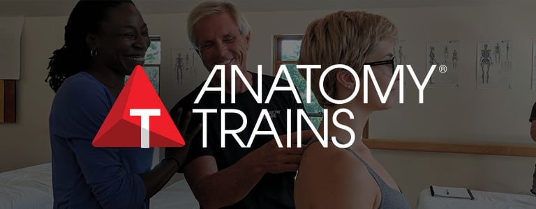 Anatomy Trains