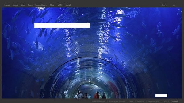 Bing Search Page June 16, 2012 V.2