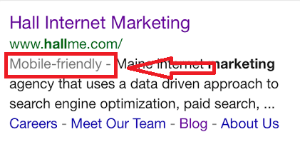 The Text that Google Displays for Search Results that are Mobile Optimized