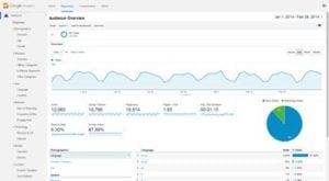 Understanding Audience Reports in Google Analytics