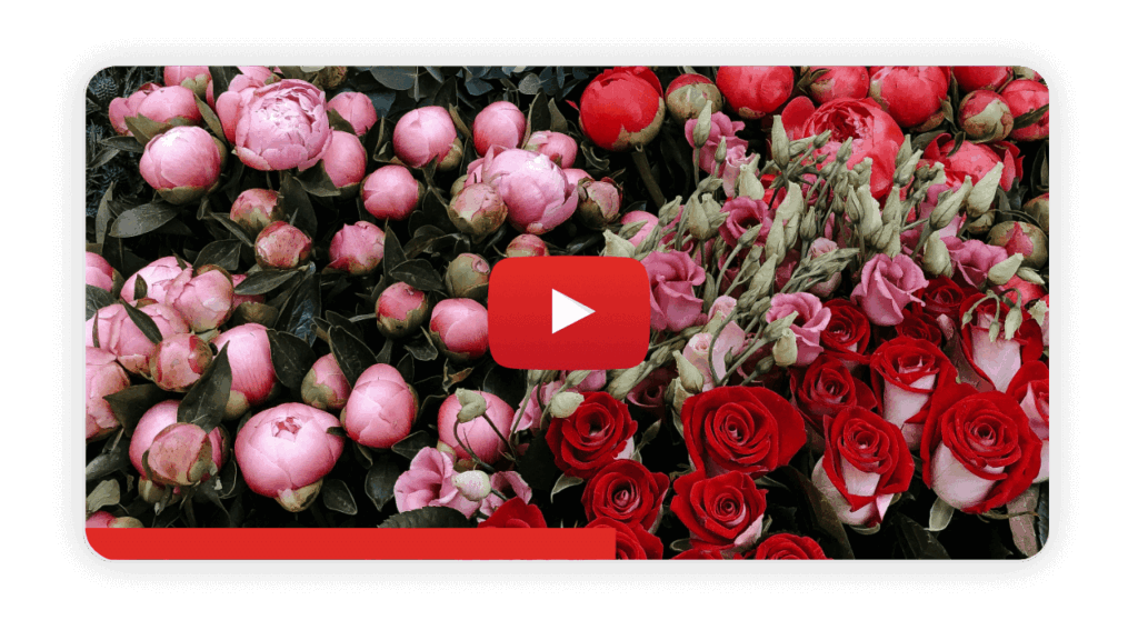 YouTube video marketing