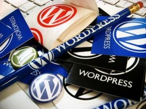 Wordpress Swag