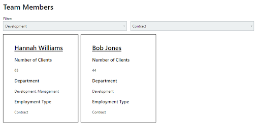 Development contractors team members filtering example